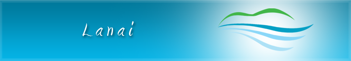 Lanai Menu